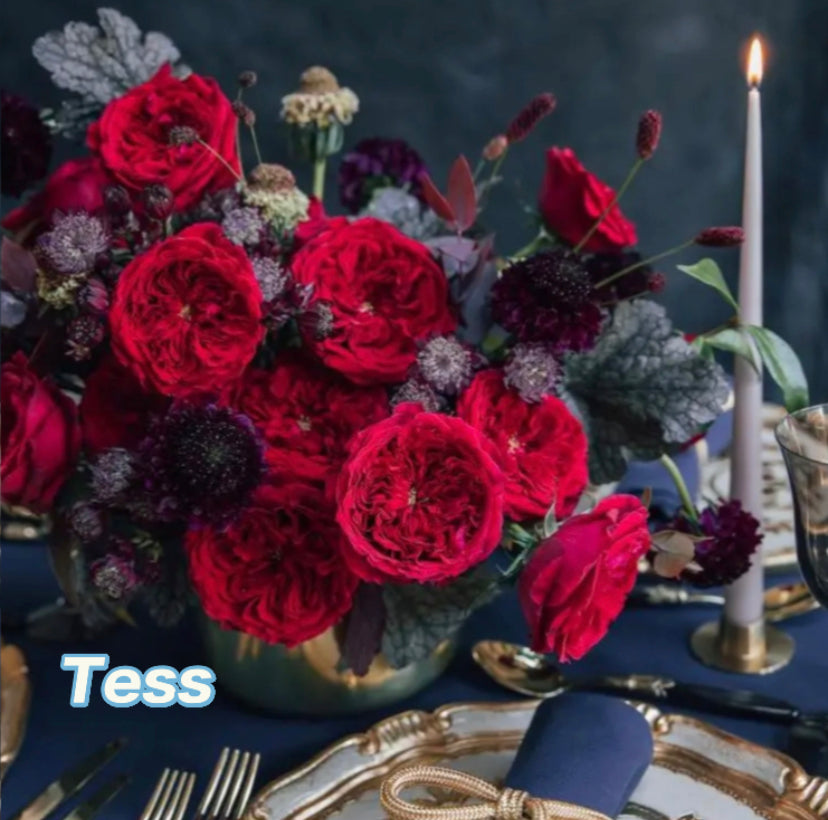 Wedding cutting rose Tess DA
