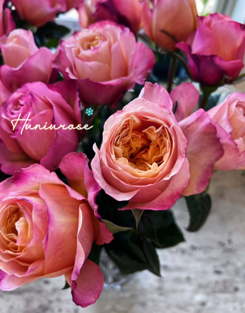 Wedding cutting rose Edith DA