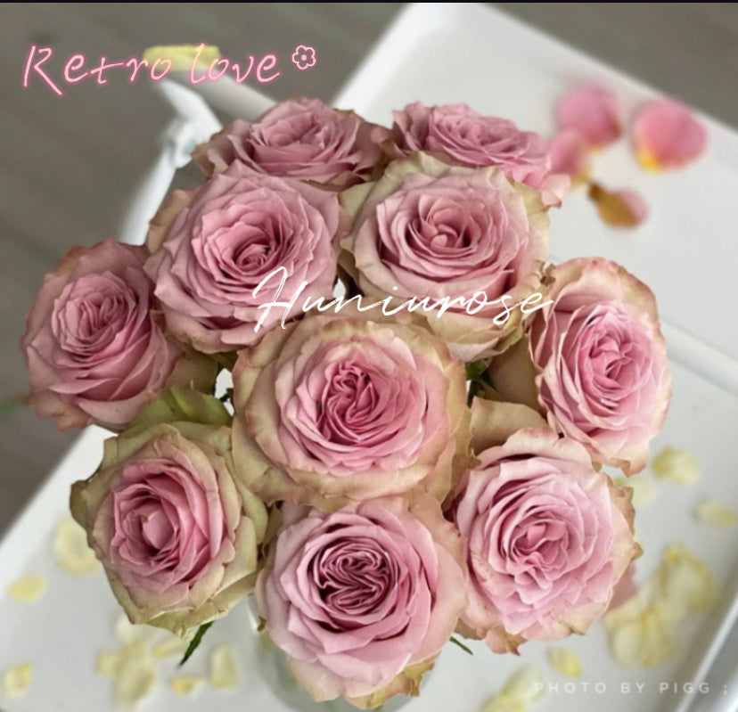 Retro love Wans cutting rose