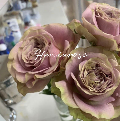 Always on you side Japanese rose