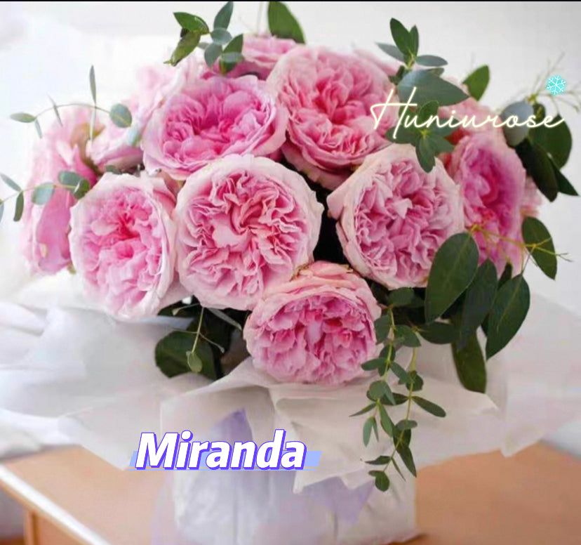 Miranda wedding cutting rose DA
