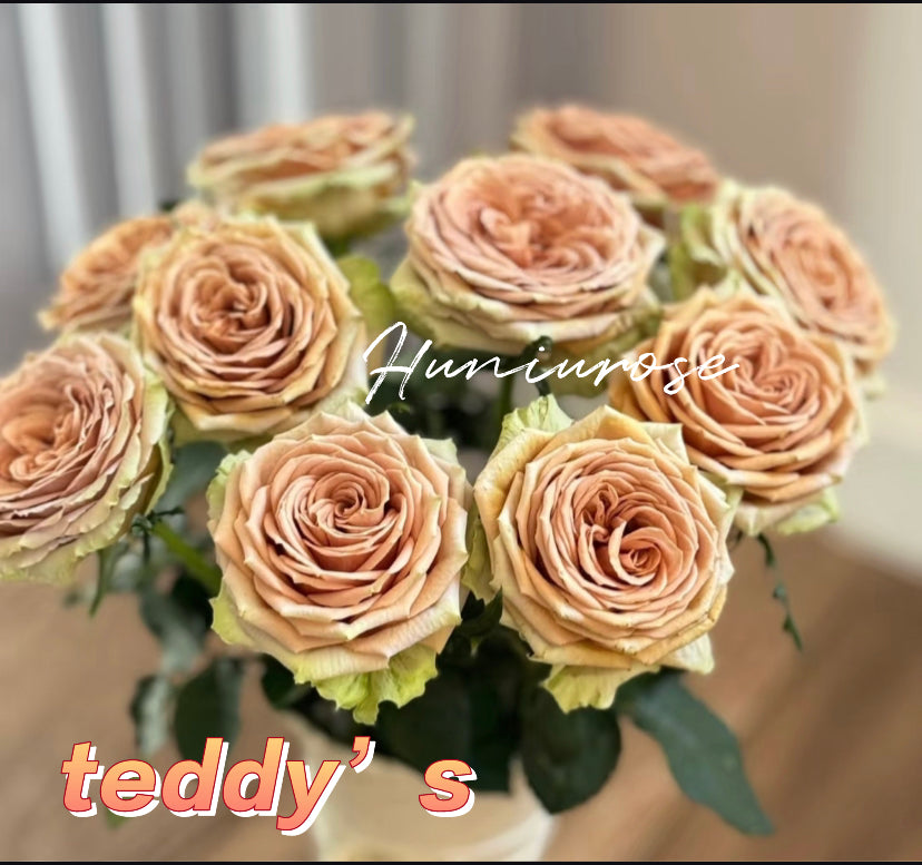 Cutting rose Teddy’s very new