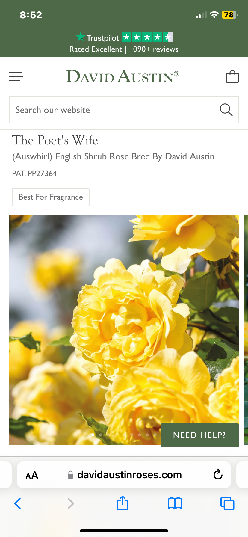 Poet’s wife David Austin