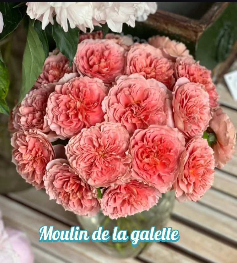 Moulin de la galette rose