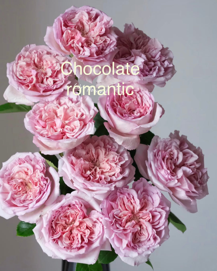 Japanese rose varieties preorder