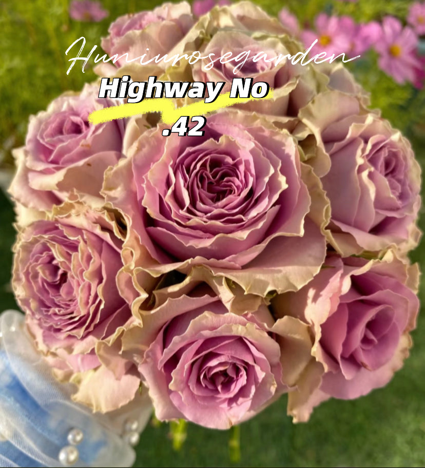 Tory/ Highway 42