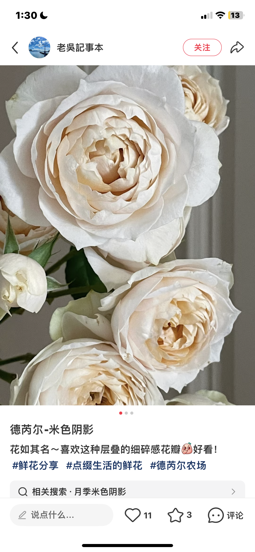 Wans cutting rose shade of Beige