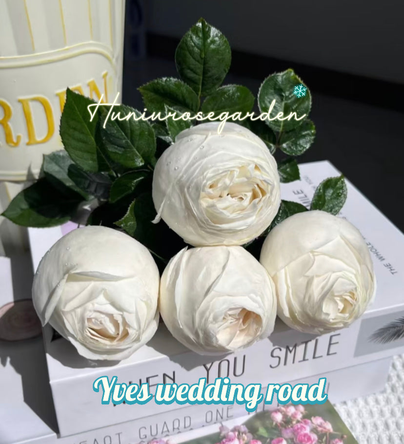 Yves wedding road cutting rose
