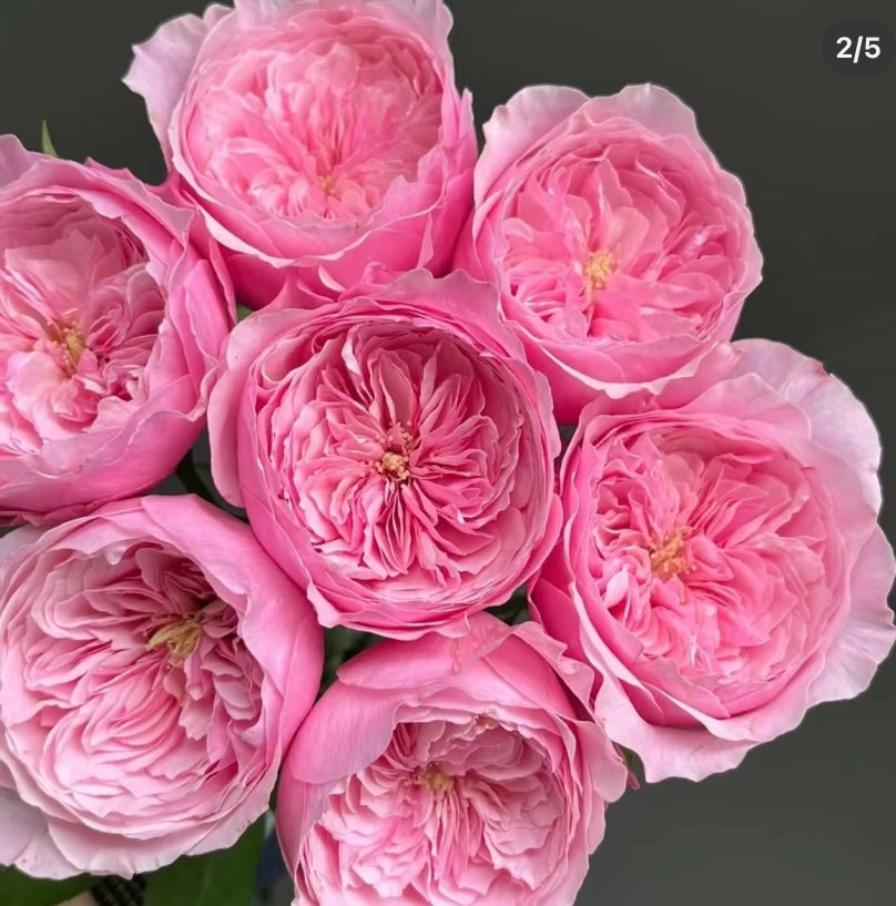 English wedding cutting rosé Carey