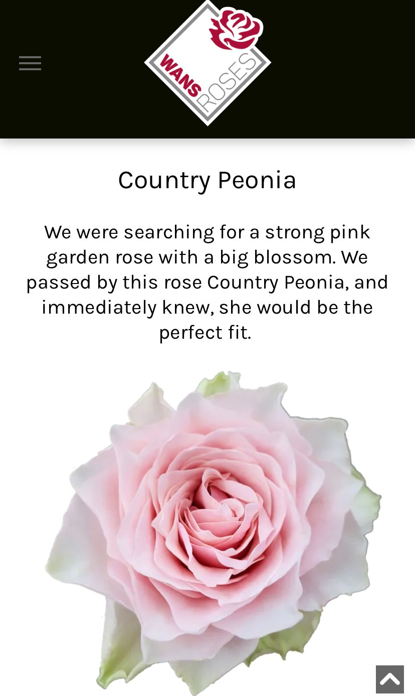 Country Peonia