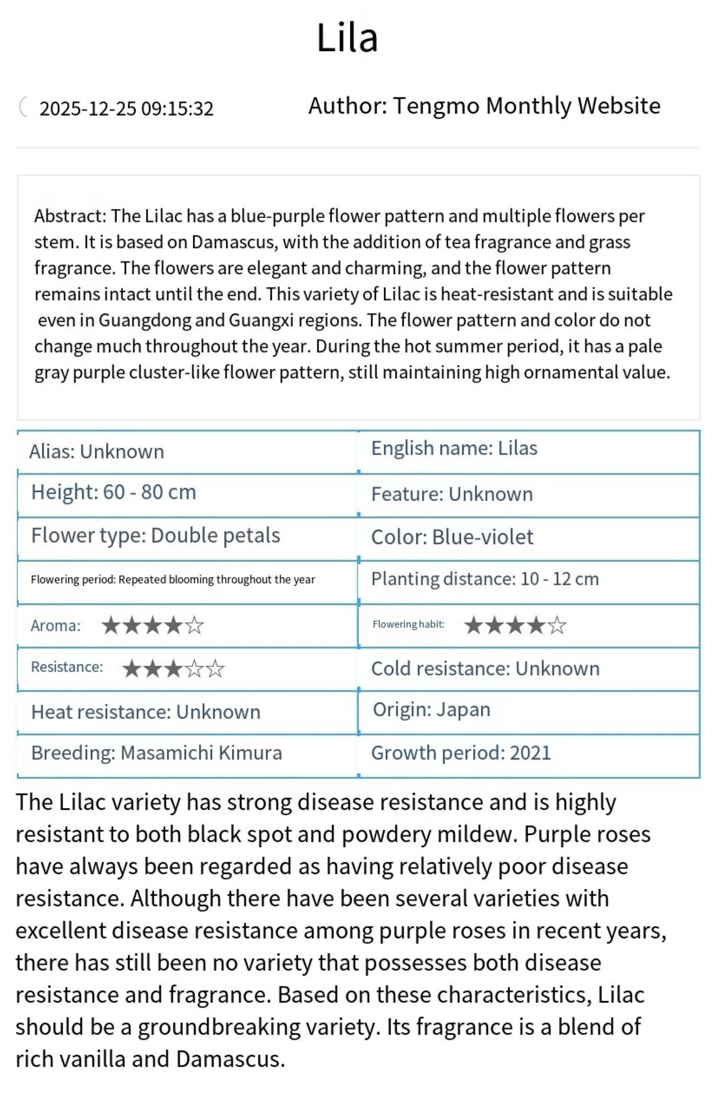 Sale!Japanese perfect purple rose Lilas