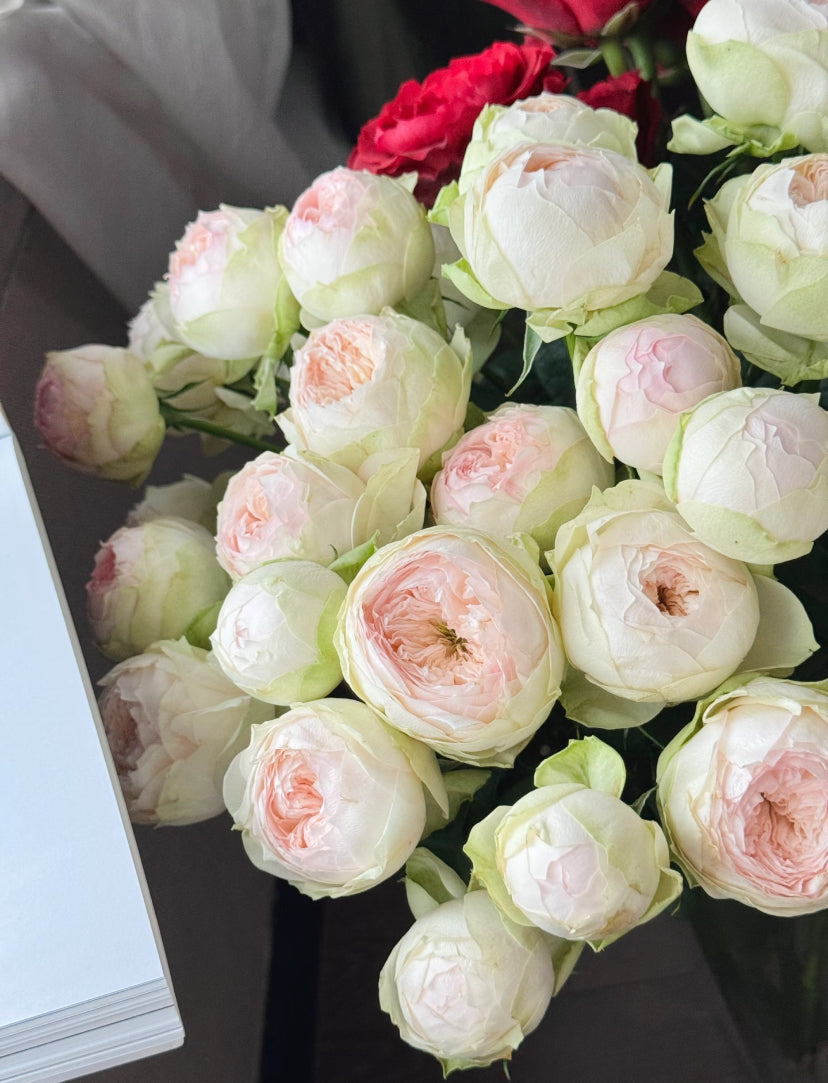 Pink pie cutting rose