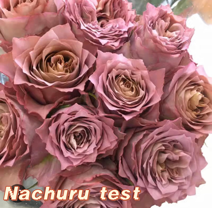 Nachuru test rose