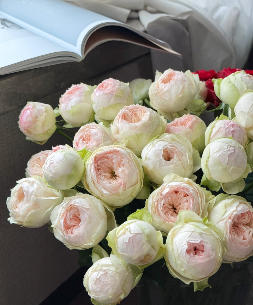 Pink pie cutting rose